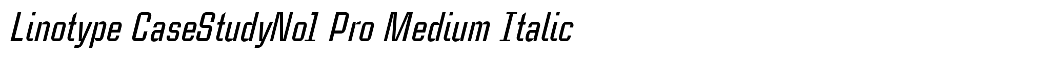 Linotype CaseStudyNo1 Pro Medium Italic image